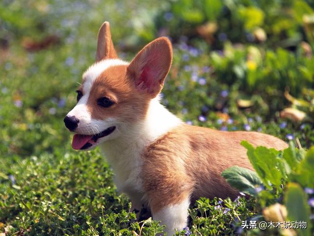 20221103143716_40619