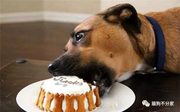 20221103144740_23909