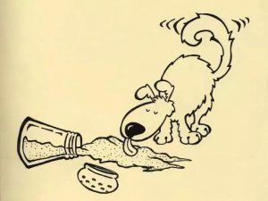 开饭乐狗粮泰迪吃好吗-警犬训练器材厂家 _警犬训练用品_工作犬训练用品-南京开久警犬装备