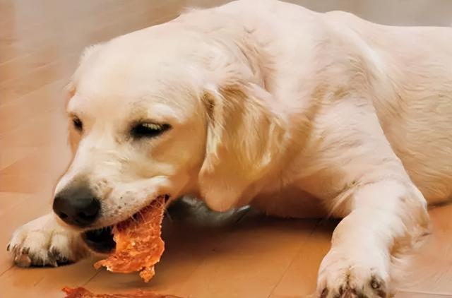 20221103145734_99775