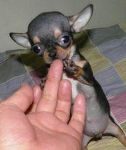 20221103150124_55761