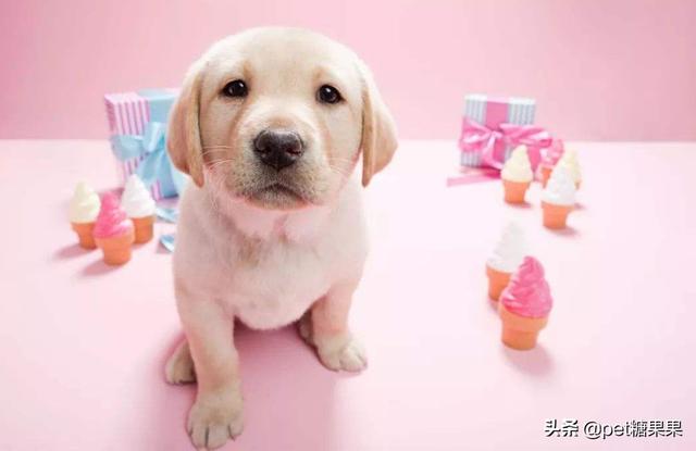 20221103165449_77150 20221103165449_77150