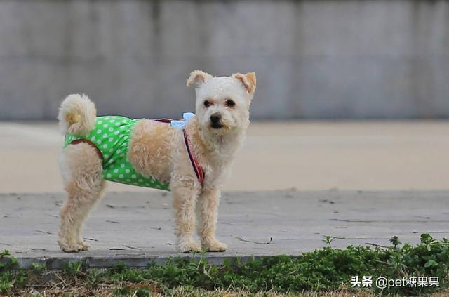 20221103165449_77492 20221103165449_77492