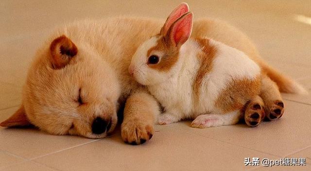 20221103165450_39183 20221103165450_39183