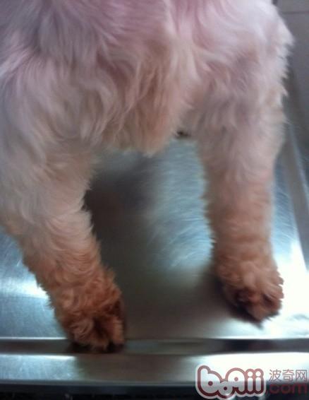 20221103170103_23132