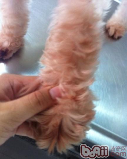 20221103170103_44961