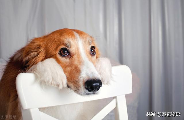 20221103170711_38815 20221103170711_38815