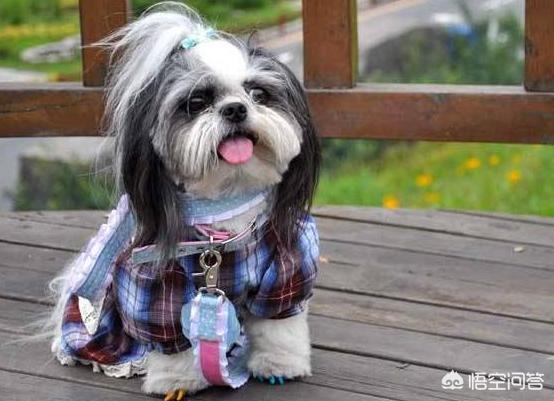 20221103171518_48967