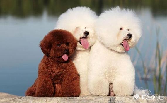 20221103171518_60709