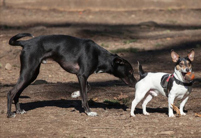 20221103225135_91250