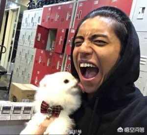 小狗总是 *** 很长时间-警犬训练器材厂家 _警犬训练用品_工作犬训练用品-南京开久警犬装备