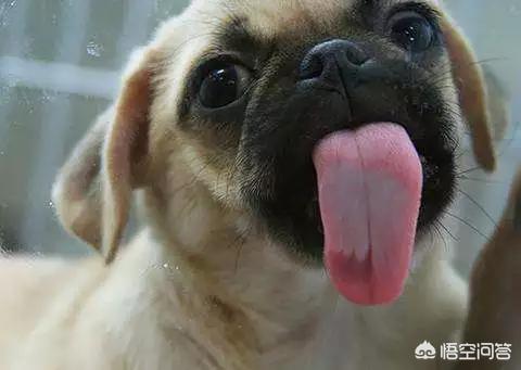 20221103225220_74544