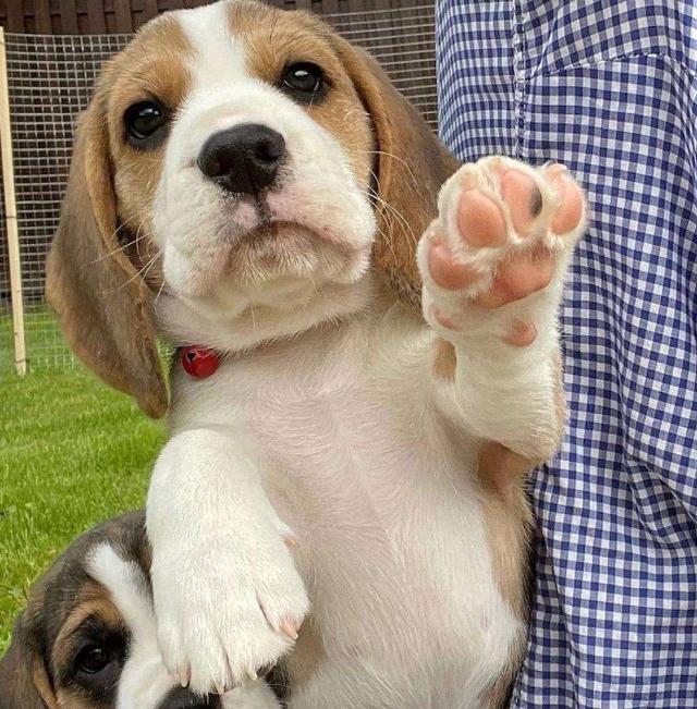 20221103230645_14346