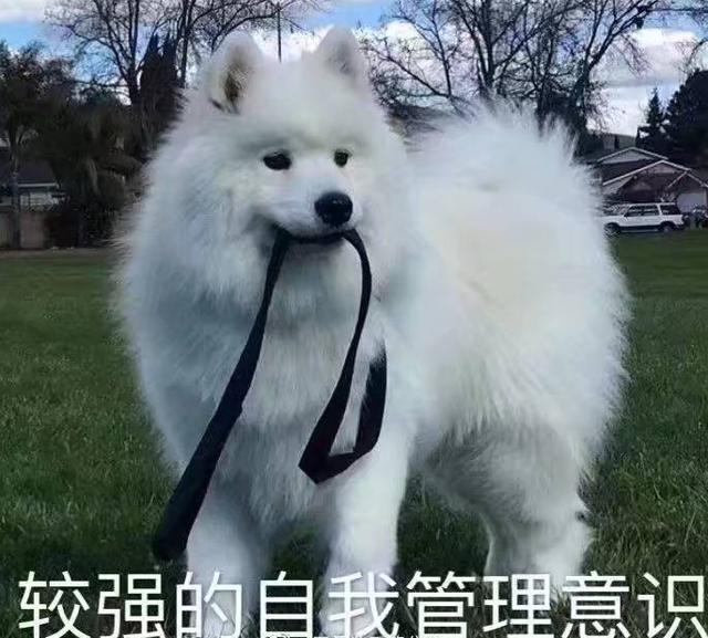 20221103230647_65973