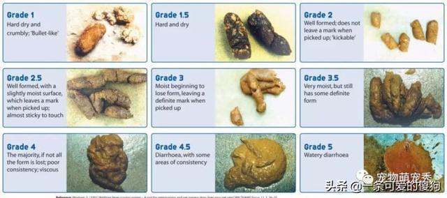 20221104003648_48845 20221104003648_48845