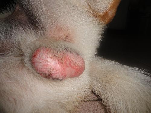 20221104004814_34007 20221104004814_34007