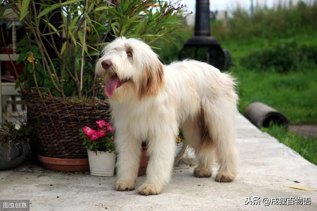 20221104005341_85446