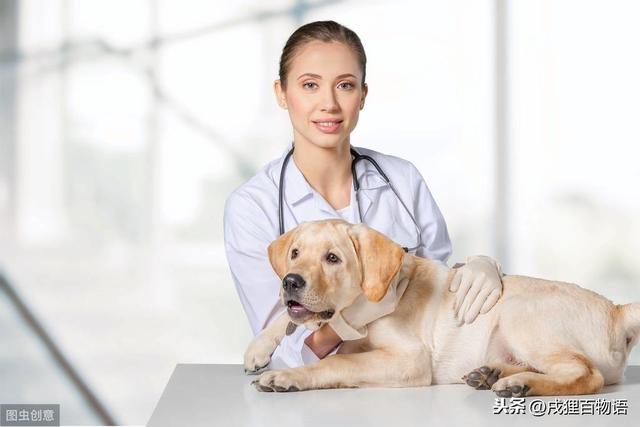 20221104005342_62423 20221104005342_62423