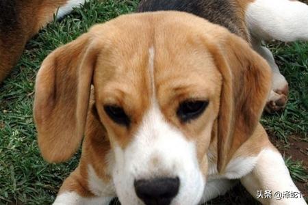 20221104010035_32260 20221104010035_32260