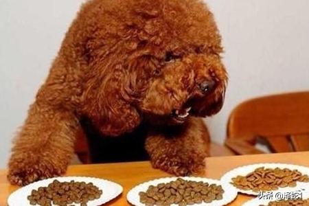 20221104010035_94211 20221104010035_94211