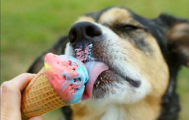 20221104085147_71638