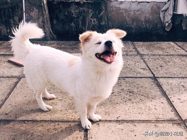 20221104094307_25319 20221104094307_25319