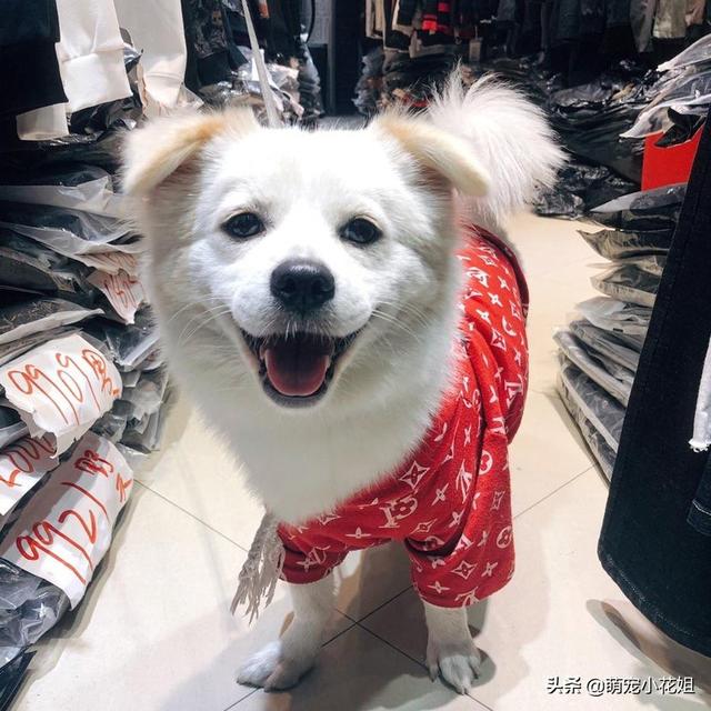 20221104094307_97703 20221104094307_97703