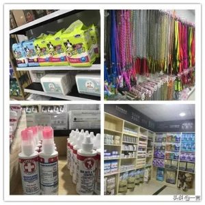 武汉乐狗宠物  武汉美狗岛宠物学校-警犬训练器材厂家 _警犬训练用品_工作犬训练用品-南京开久警犬装备