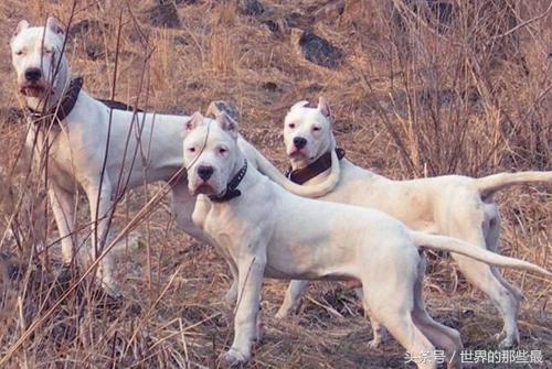 20221104111811_49626