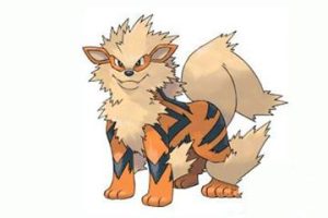 口袋妖怪家门狗(口袋妖怪xy家门鸟)-警犬训练器材厂家 _警犬训练用品_工作犬训练用品-南京开久警犬装备