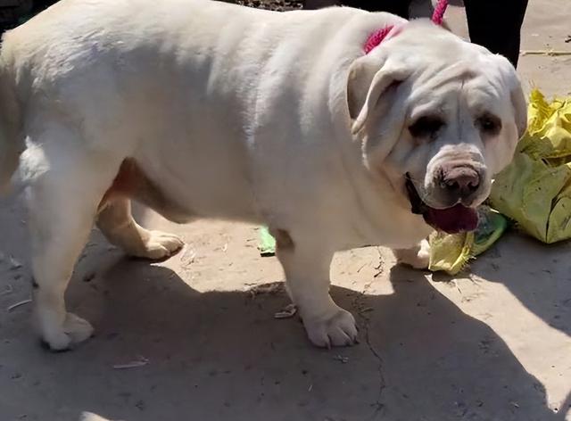 20221104113513_74832