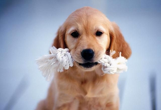 20221104114256_80039