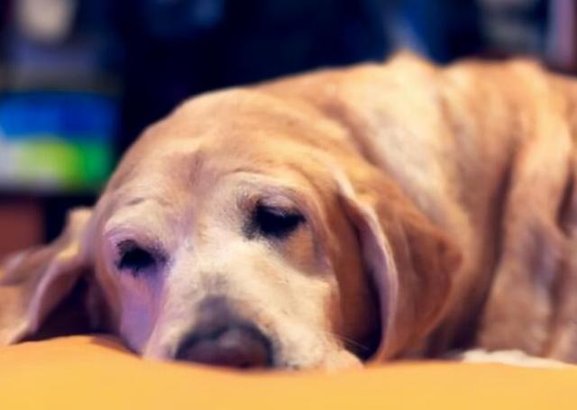 20221104114256_92093