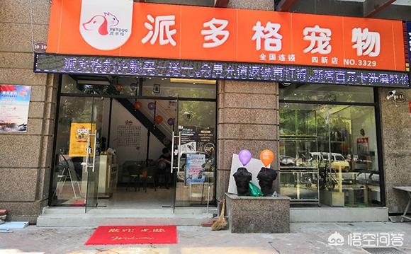 20221104134849_87063 20221104134849_87063