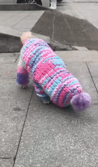 20221104135347_41056