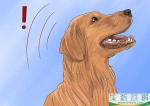 对付狗叫扰民最好 *** (对付狗叫扰民最好 ***  灭门)-警犬训练器材厂家 _警犬训练用品_工作犬训练用品-南京开久警犬装备