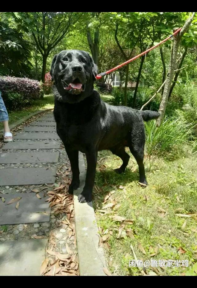 20221104141754_22371