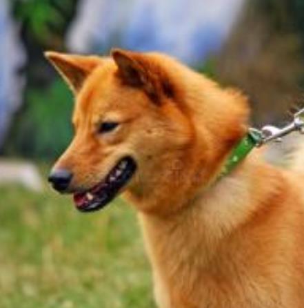 20221104141821_79232 20221104141821_79232