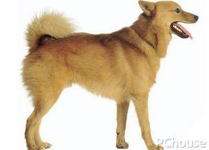 20221104141822_60946 20221104141822_60946