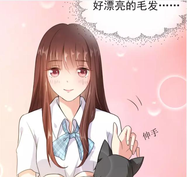 主角是猫和狗的漫画(主角是狗头人的漫画) - 警犬训练器材厂家 _警犬训练用品_工作犬训练用品-南京开久警犬装备-警犬训练器材厂家 _警犬训练用品_工作犬训练用品-南京开久警犬装备