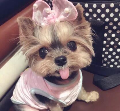 20221104154231_96660 20221104154231_96660