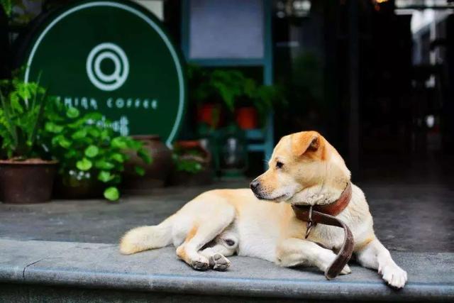 20221104154834_57489