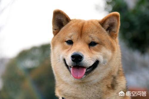 20221104161023_84312