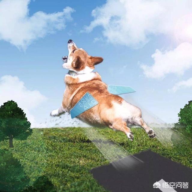 20221104161024_99294