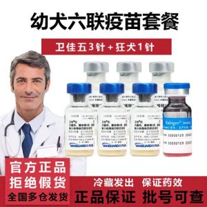 小狗四连苗怎么打(小狗四连苗打玩多长时间打狂犬病疫苗最晚什么打)-警犬训练器材厂家 _警犬训练用品_工作犬训练用品-南京开久警犬装备