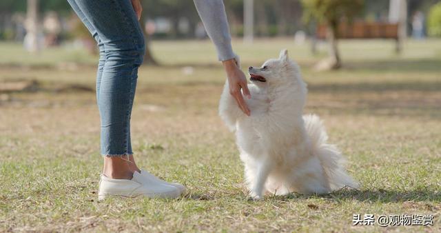 20221104162612_53696