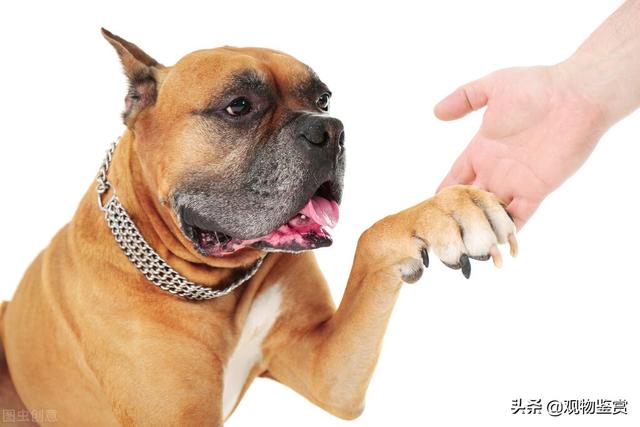 20221104162613_50112