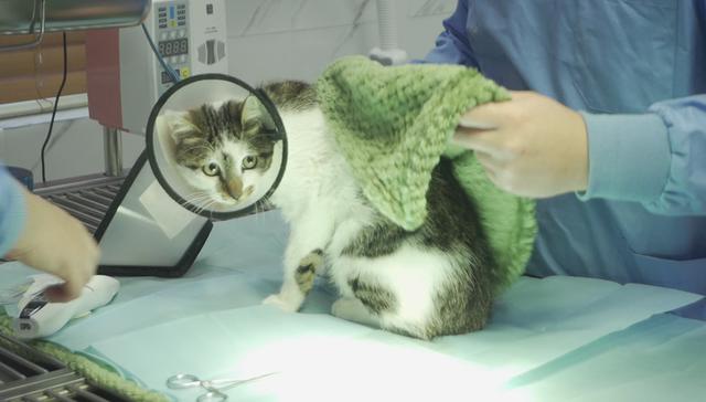 20221104162821_83823