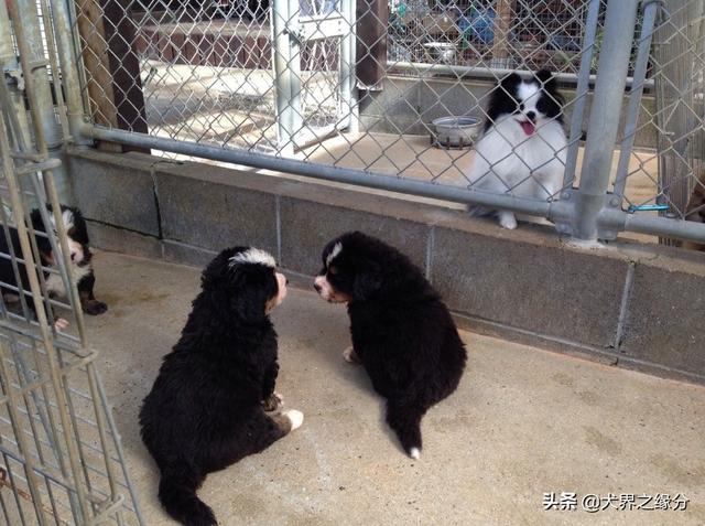 20221104163528_40459