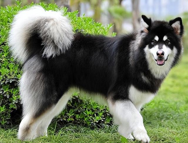 20221104163636_47729